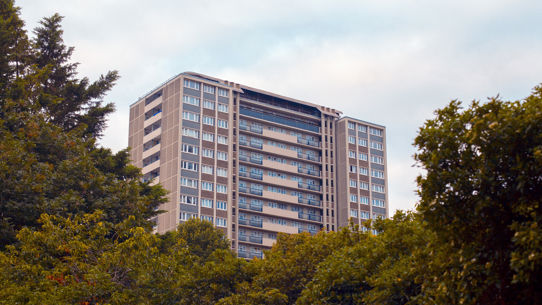 A council estate surrounded by trees