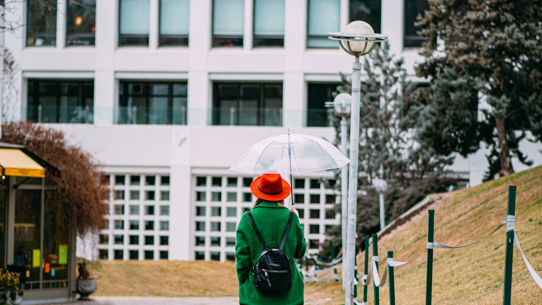 A person holding an umbrella walking a pathway