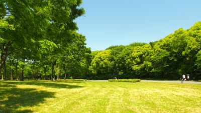 Green Spaces and Their Connection to Wellbeing