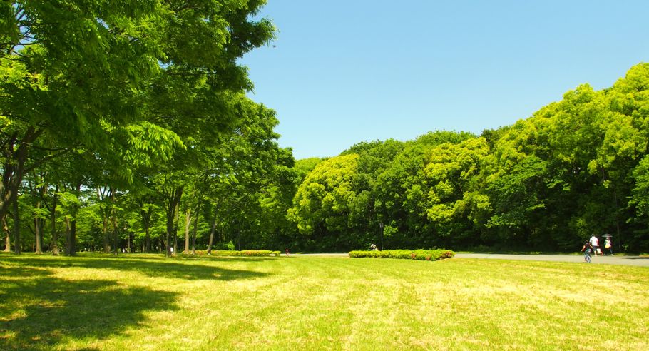 Green Spaces