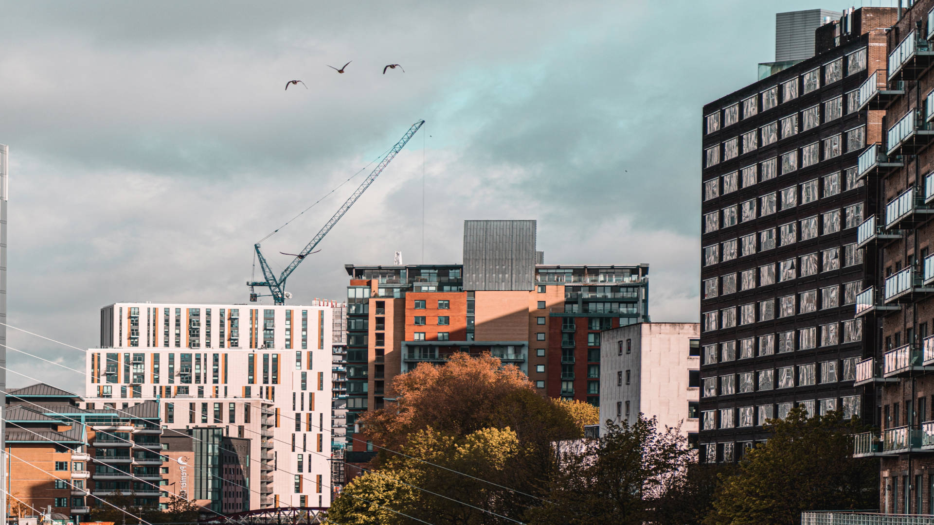 Apartments and office buildings in a city